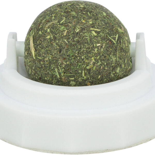 Minge Catnip Trixie pentru Pisici cu Suport Autoadeziv, 5 cm