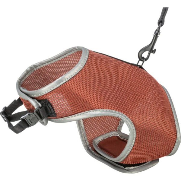 Ham și Lesă Elastică Trixie, 24-42 cm, Ruginiu - Confort și Siguranță