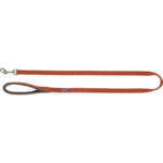 Lesa Trixie Premium Ruginiu 1m/20mm