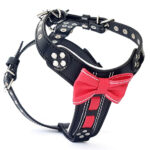 Ham Bowtie din Piele Naturală, S: 40-73 cm