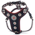 Ham Bijou din Piele Naturală, S: 40-73 cm, Negru/Rosu pentru Câini