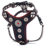Ham Bijou din Piele Naturală, S: 40-73 cm, Negru/Rosu pentru Câini