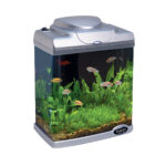 Acvariu Elegant Hailea FC200 cu Capac și LED, 6.6L, Argintiu