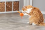 Jucărie pentru pisici Trixie, 20 cm pe bandă elastică - imagine 2