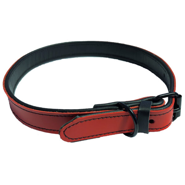 Zgarda Monserra din Piele Naturală pentru Câini, 20mm x 65cm
