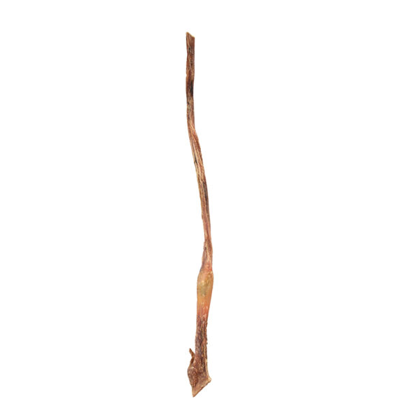 Snack natural din tendon de vită 80 cm - Duvoplus Farmz