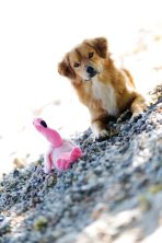 Jucărie Flamingo din Plus pentru Câini cu Sunet - 35cm Trixie - imagine 2