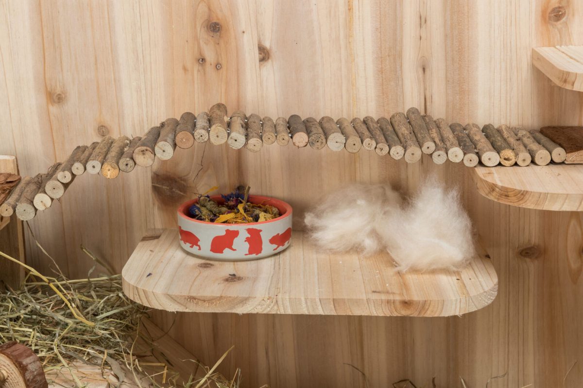 Scara cu Hranitor pentru Rozătoare Trixie din Lemn - 27x7 cm - imagine 2