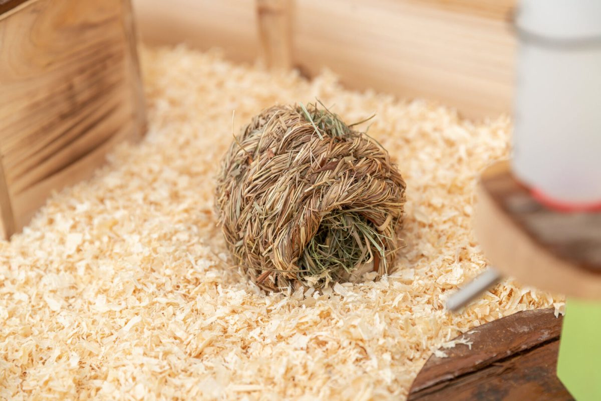 Cuib din Iarbă Natural pentru Hamsteri - Trixie, 10 cm - imagine 2