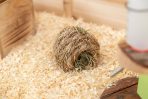 Cuib din Iarbă Natural pentru Hamsteri - Trixie, 10 cm - imagine 2