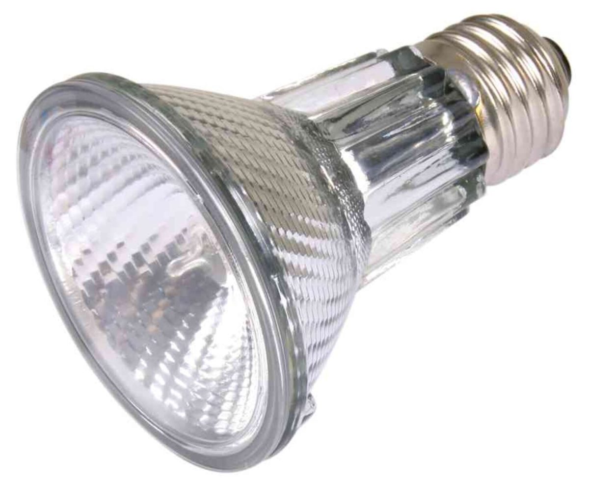Lampa Halogen 50W pentru Terariu Trixie - Iluminare Caldă și Relaxantă - imagine 2
