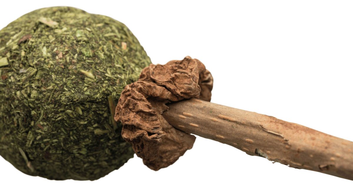 Jucărie Pisici Trixie Matatabi cu Minge Catnip, 11 cm - Igienă Dentară - imagine 2