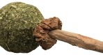 Jucărie Pisici Trixie Matatabi cu Minge Catnip, 11 cm - Igienă Dentară - imagine 2