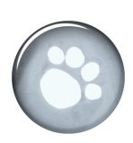 Pelerină Transparentă pentru Câini Trixie, 46 cm - imagine 2