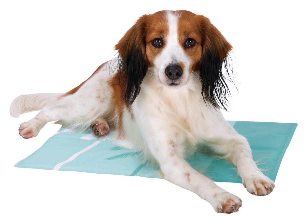 Saltea Răcoritoare Albastră 50x40 cm Trixie pentru Comfortul Pisicii - imagine 2