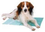 Saltea Răcoritoare Albastră 50x40 cm Trixie pentru Comfortul Pisicii - imagine 2