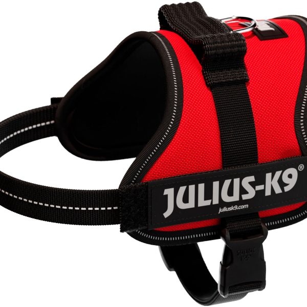 Ham pentru câini Julius K9 Mini-Mini, 40-53 cm, 22 mm, Roșu